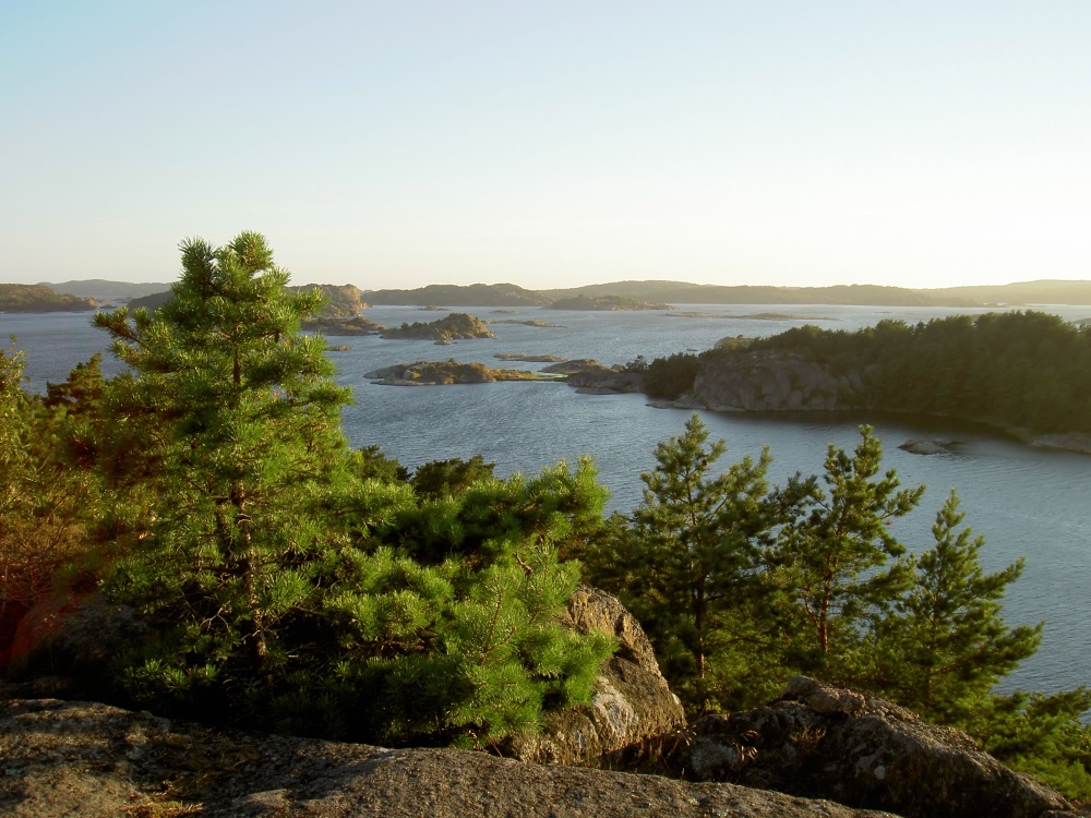 Kalv�fjorden
