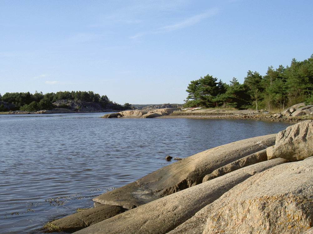 �rneviken