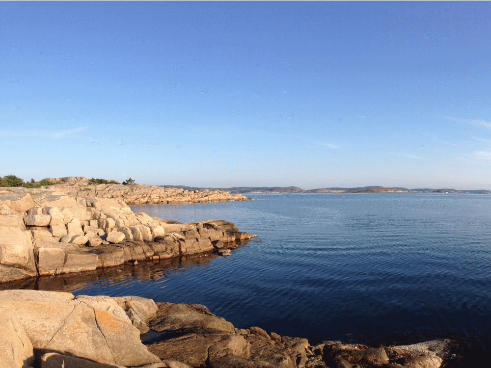 Ross� huvud